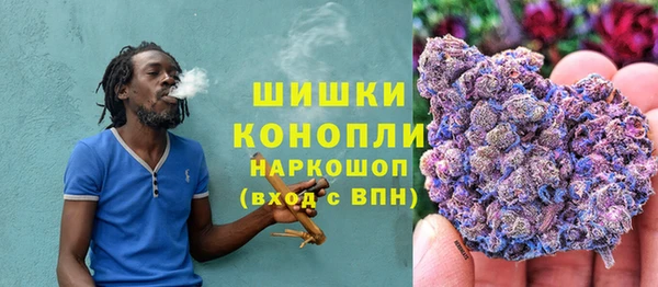 spice Кодинск