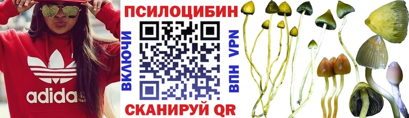 Галлюциногенные грибы Cubensis Купить где Красный Кут