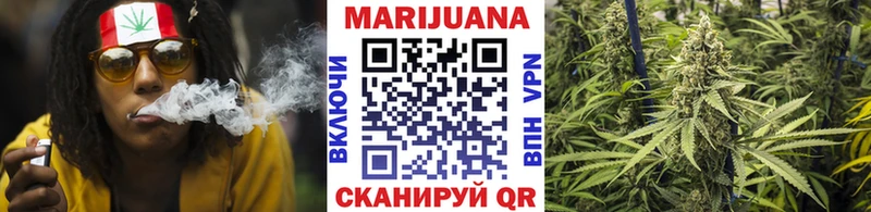 Купить  Красный Кут  Бошки марихуана SATIVA & INDICA 